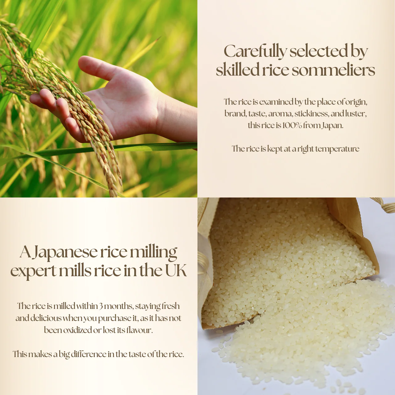 【Tasting Set】 Premium Japanese Rice 1Kg - 2bags (Minami Uonuma Koshihikari & Tsuyahime) - Milled in London - Image 3